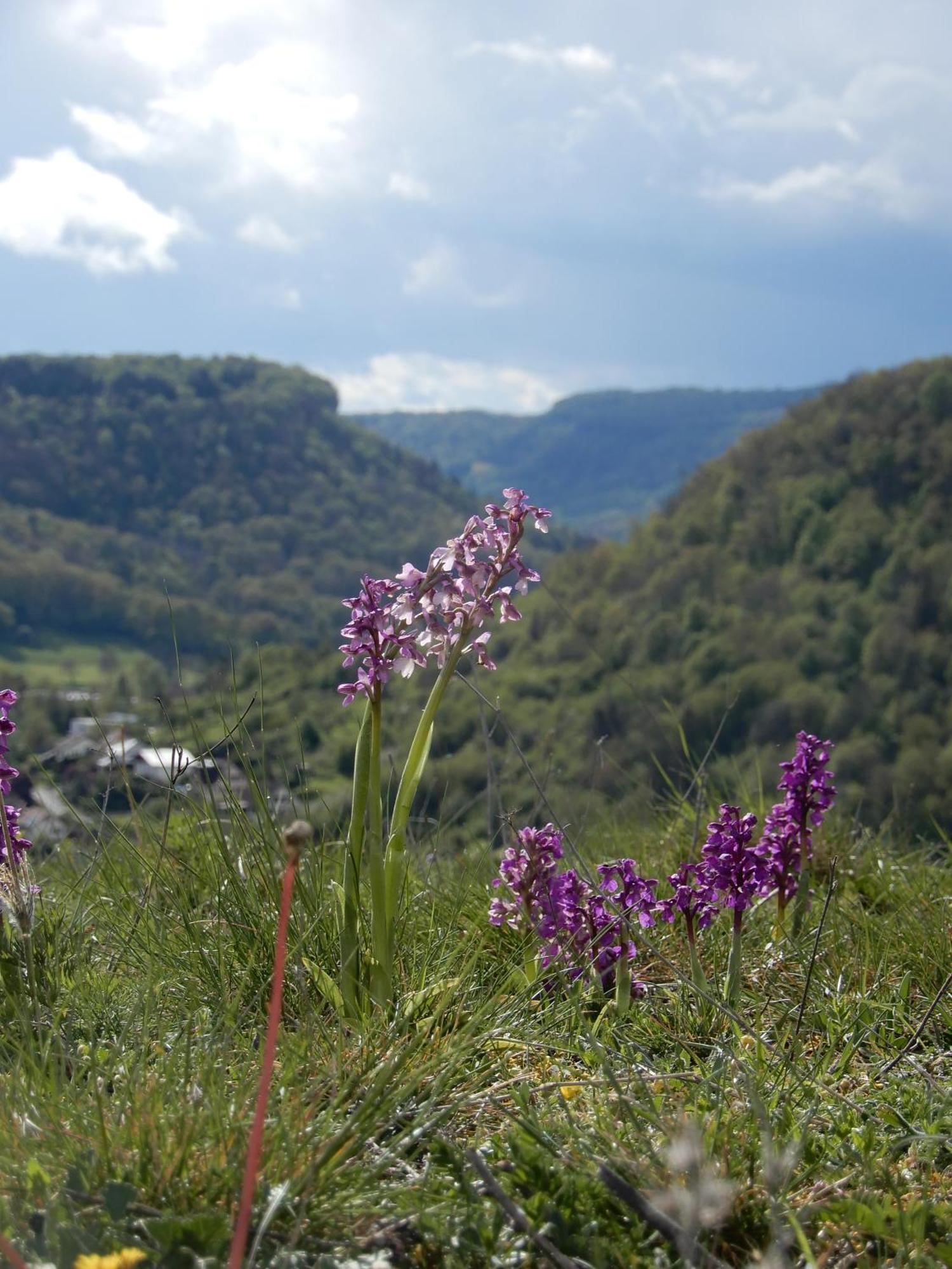 Maison De Vacances - Vue Panoramique Riviere Ornans Esterno foto
